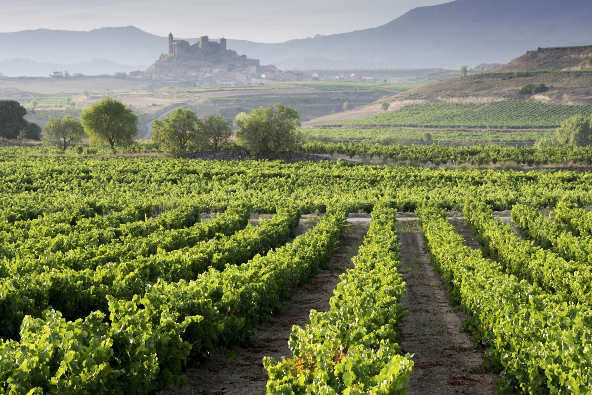 Best Time To Visit La Rioja Spain At Gary Delariva Blog Best Time To Visit La Rioja Spain At Gary Delariva Blog